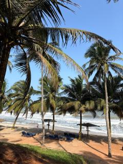 Sunflower Beach Resort - 0