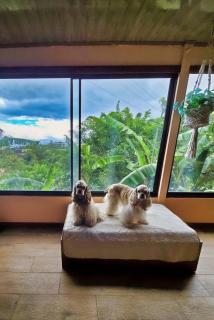 Escazu Studio Magnificent Views - Escazu - 3