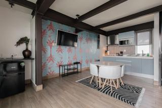 Incredible Rooftop suite 1BI1B - Mexico City - 8