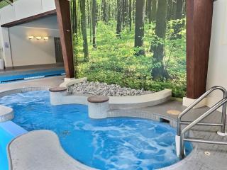 FirBear- AC, Pool, Hot Tub, Sauna, Tennis, Gym - 9