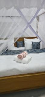 AQUA GARDENS luxury beach front home - 5