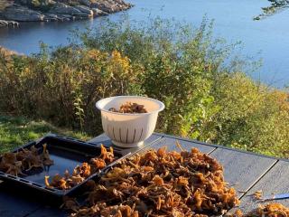 5 star holiday home in UDDEVALLA - 8