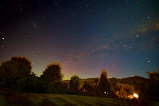 Tawhiri - tranquility, space and stunning views in paradise - 6