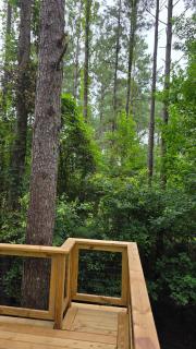 Truly Unique Treehouse - The Fox Den - 5