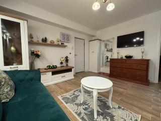 Premium accommodation classic style - modern comfort - Fantasy park - 8