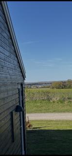 Spacious Holiday Home On Bogø - 8