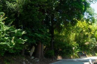 古民家宿 星園-hoshiniwa- - 8
