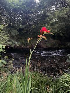 Dartmoor Secluded Shepherds Hut at The Shrubbery, River Walkham, Horrabridge, Yelverton - 7