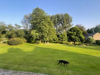 Dartmoor Secluded Shepherds Hut at The Shrubbery, River Walkham, Horrabridge, Yelverton - 9