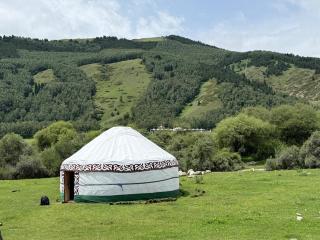 Zamir Yurt Camp - 1