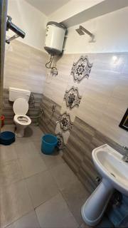 Whitestone PULGA - 6