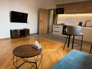New cozy apartment with parking Vitezna - 1