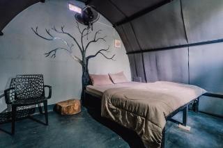 Nexgo Spaces - Spirit Of The Wild - 6