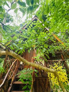 Sigiri Lodge and Tree House - 5