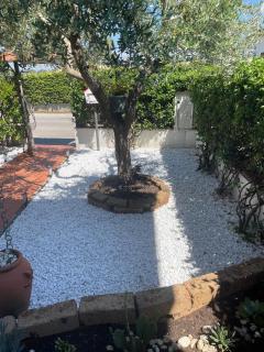 Sweet home Torre del lago - 7