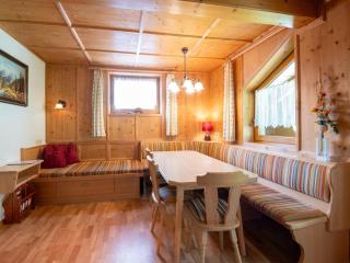 Chalet in Mayrhofen near Ski Slopes - 4
