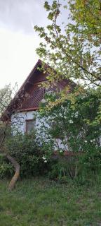 Felföldi Tanyavendégház - 3