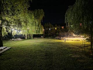 Lavander Garden - 8