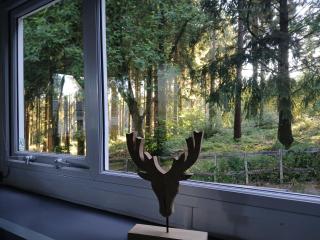 DeerN'Wood - 9