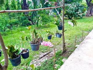 บ้านสวน nature home - 2