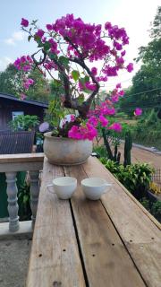 Laena Homestay - 7