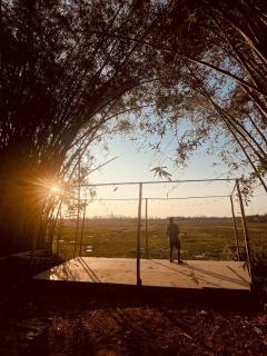 Laena Homestay - 6