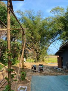 Laena Homestay - 5