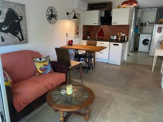 Studio le loriot et sa terrasse privée - 9