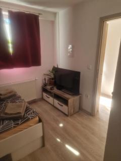 Apartma Alja Podkoren - 8