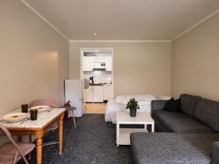 Studio apartment in center of Gol - 6