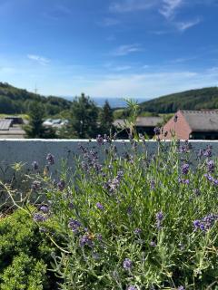 Panorama-Maisonette Schwarzwald I Pool & Terasse - 1
