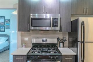 Chicago Spacious 3Br Smoke Ok Near McCormick Place - 3