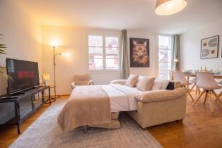Modern Apartment in Central Basel near Rhine - Special TOP LUX 22 Apartment, up to 3 guests - Bâle - 3