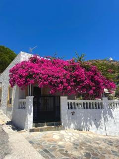 Bougainvillea Nest Panteli, Leros - 0