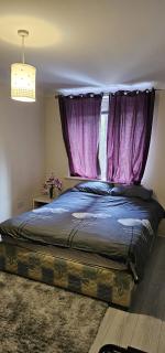 Cosy 2 bed - Central Dublin - 3