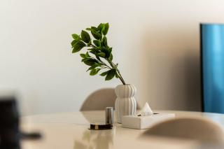 Sleek 2BR Apartment Yas Island - 2