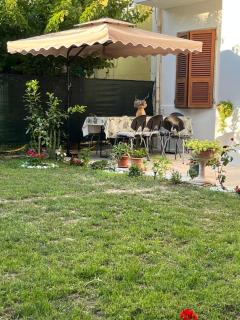 oxa home - 4
