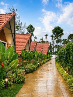 D-Zion Resort Coorg - 8