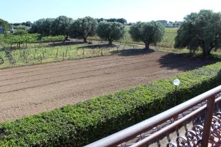 Villa Bice - 4