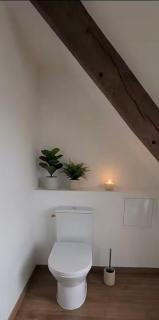 Votre pied-à-terre au cœur de la Bretagne ! - 5