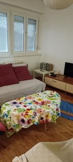 ViVa Apartment - 7