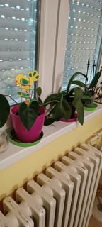 ViVa Apartment - 6