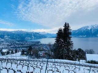 Le Chardonne - Designer's home with a stunning lake and mountain view - 7
