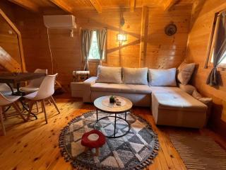 Grahovo Cabins Mijatov Raj - 3