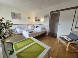 Studio in the heart of Bagnoles - 6