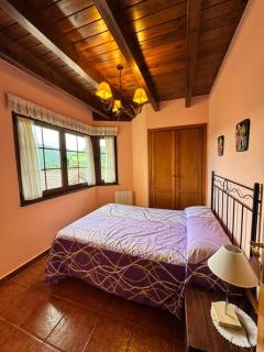 Gamonedo 1 Rural Apartments - 5