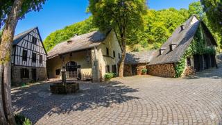 Remise einer historischen Wassermühle im Hunsrück - 7