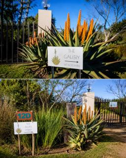 The Aloes Farm - The Studio & The Gallery - 9