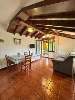 Gamonedo 3 Rural Apartments - 1