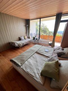 New Panorama Apartment FreYblick Pool Sauna - 6